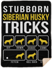 Siberian Husky Stubborn Tricks